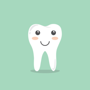 A Look at the Different Types of Teeth in Your Mouth 